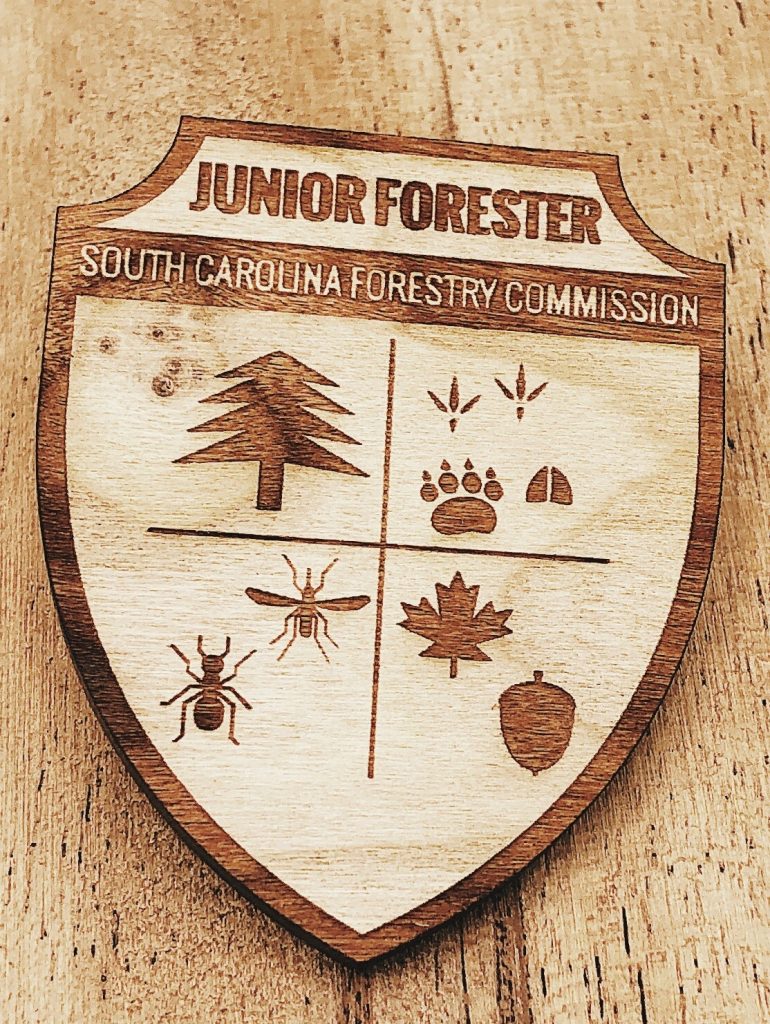 Badge for Junior Forester Kindergarten-2nd grade program challenge