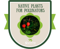 Badge for Native Flowers for Pollinators challenge