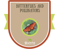 Butterflies and Pollinators  badge