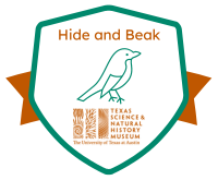 Hide and Beak badge
