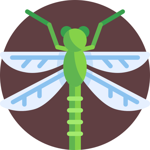 Dragonflies badge