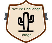 Badge for Adventure Bingo challenge