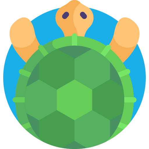 Badge for Turtles Paddle challenge