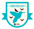 Follow the Flyway badge