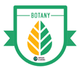 Forest Pharmacy badge