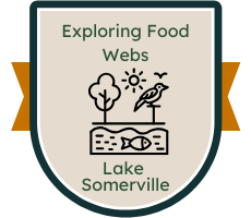 Badge for Lake Somerville: Exploring Food Webs challenge