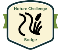 Badge for Nature Sensory Hike challenge