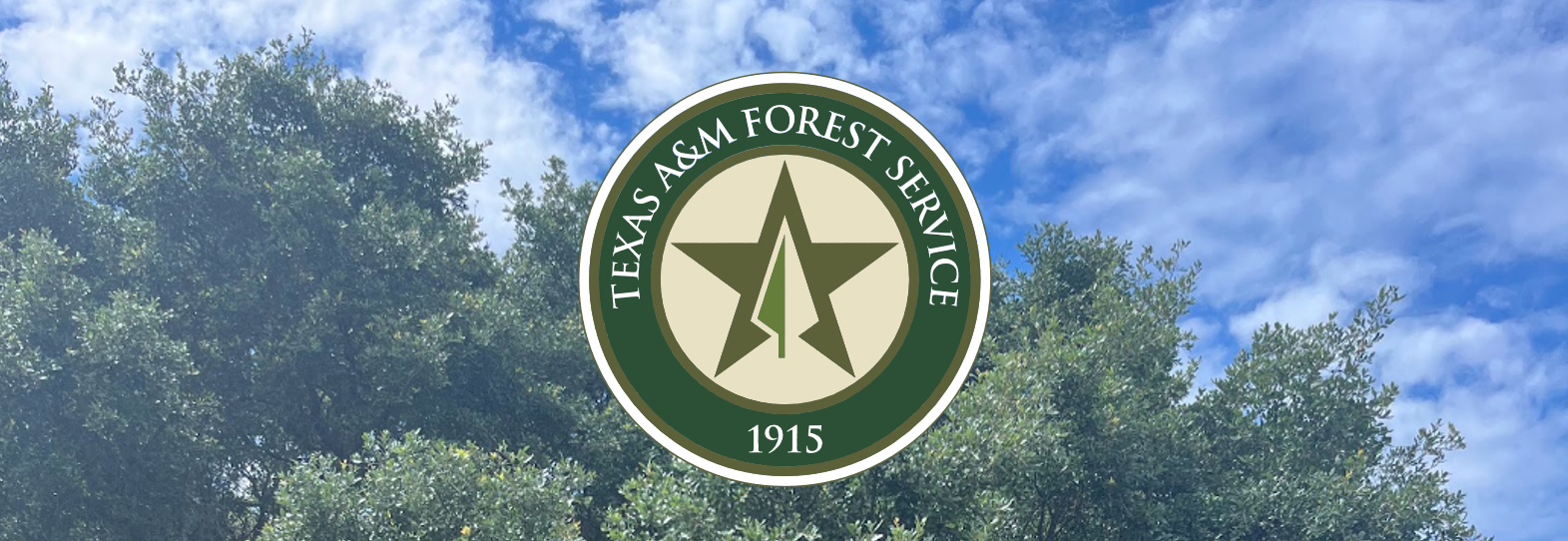 tree with Texas A&M Forest Service logo