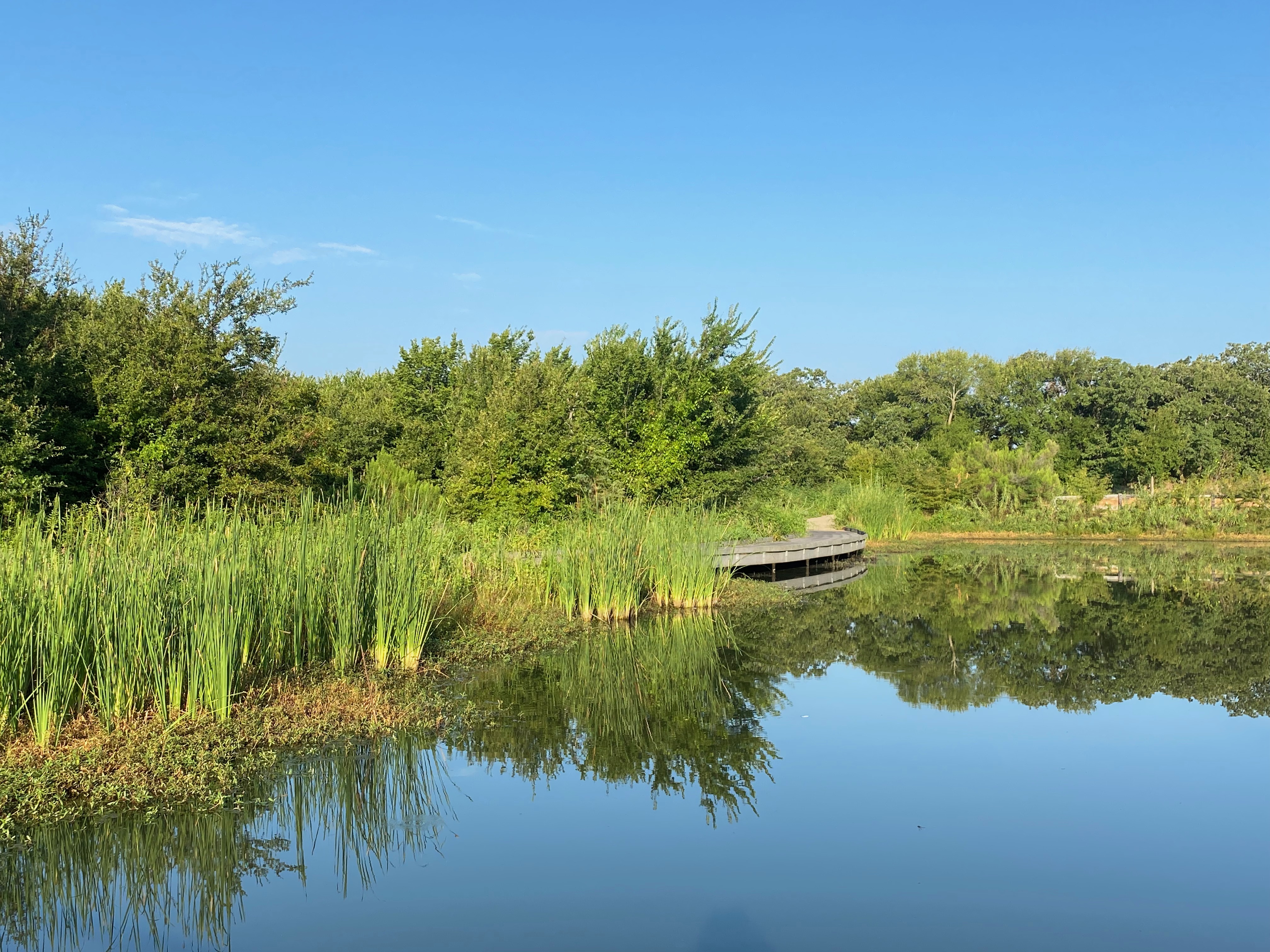 South pond at SCNP