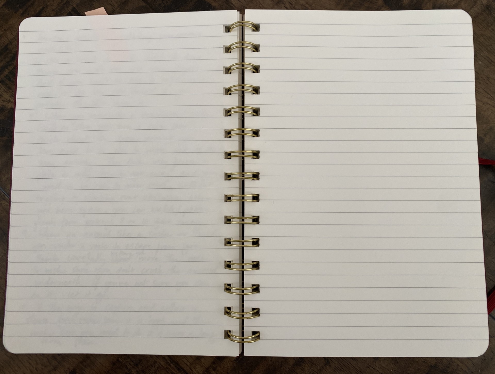 blank notebook for journaling